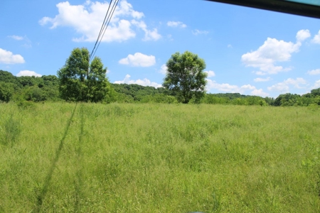 Country Home, Guest House ,Creek Frontage & 34 Acres in KY - image 27