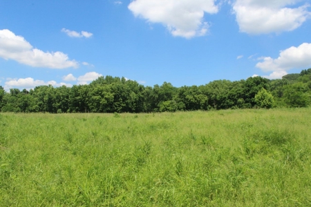 Country Home, Guest House ,Creek Frontage & 34 Acres in KY - image 11