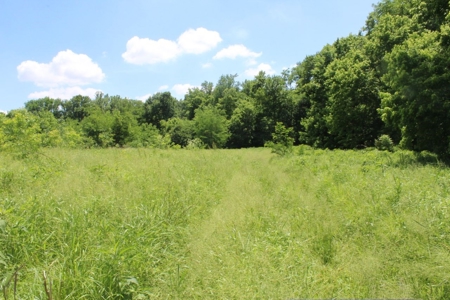 Country Home, Guest House ,Creek Frontage & 34 Acres in KY - image 28