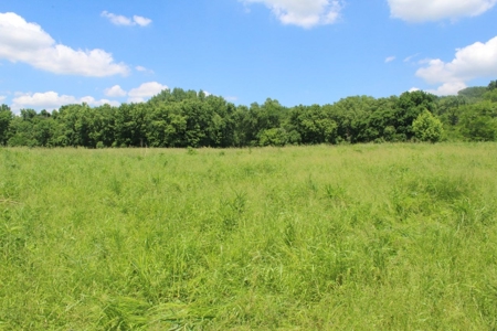 Country Home, Guest House ,Creek Frontage & 34 Acres in KY - image 25
