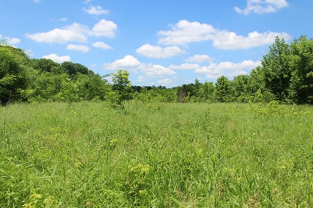 Country Home, Guest House ,Creek Frontage & 34 Acres in KY - image 31