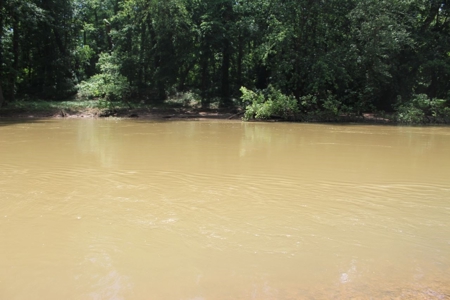Country Home, Guest House ,Creek Frontage & 34 Acres in KY - image 48