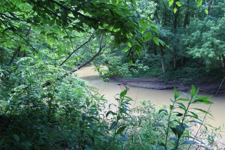 Country Home, Guest House ,Creek Frontage & 34 Acres in KY - image 33