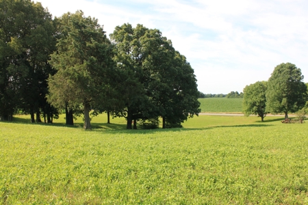 Country Home w/ Basement & Land in KY plus Personal Property - image 7