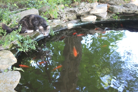 Country Home w/ Basement & Land in KY plus Personal Property - image 10