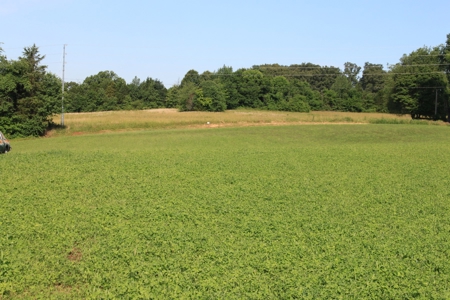 Country Home w/ Basement & Land in KY plus Personal Property - image 6