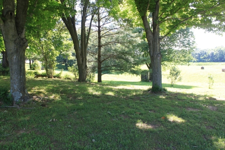 Country Home w/ Basement & Land in KY plus Personal Property - image 13