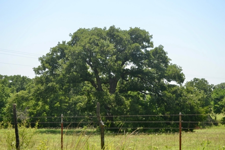 Land Property For Sale Recreational Wynnewood Garvin County - image 3