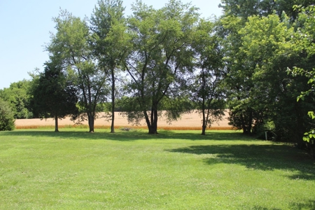 4 Bedroom 3 Bath Brick Ranch at Auction in Bowling Green Ky. - image 4