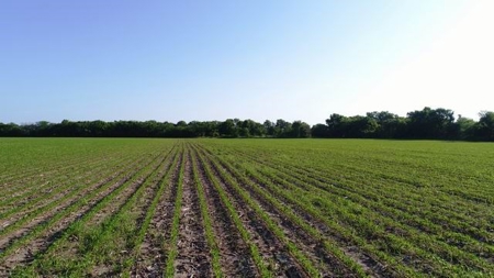 Missouri Cropland Auction   Aug. 2nd, 2018 @ 6:00 p.m. - image 4