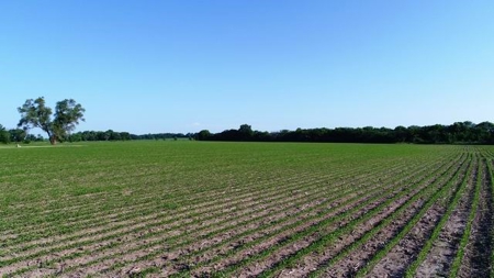 Missouri Cropland Auction   Aug. 2nd, 2018 @ 6:00 p.m. - image 3