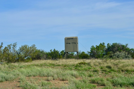 Land For Sale Texas Hunting Property Guthrie King County Tx - image 12