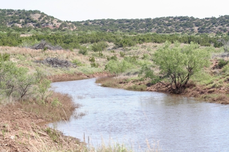 Land For Sale Texas Hunting Property Guthrie King County Tx - image 46