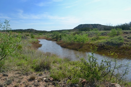 Land For Sale Texas Hunting Property Guthrie King County Tx - image 24