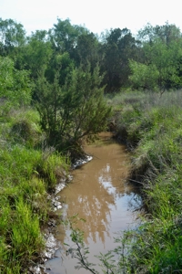 Land For Sale Texas Hunting Property Guthrie King County Tx - image 19