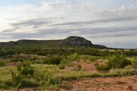 Land For Sale Texas Hunting Property Guthrie King County Tx - image 4