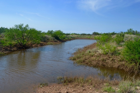 Land For Sale Texas Hunting Property Guthrie King County Tx - image 23