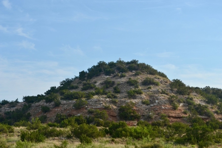 Land For Sale Texas Hunting Property Guthrie King County Tx - image 8