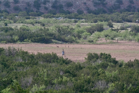 Land For Sale Texas Hunting Property Guthrie King County Tx - image 40