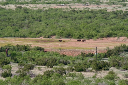 Land For Sale Texas Hunting Property Guthrie King County Tx - image 42