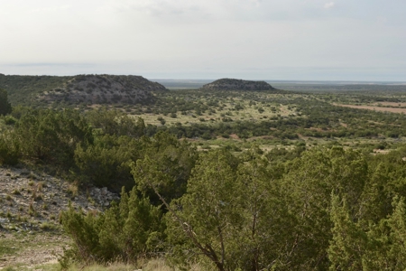 Land For Sale Texas Hunting Property Guthrie King County Tx - image 14