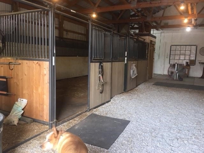 Equestrian Farm Arena For Sale Southwest Missouri Billings - image 11
