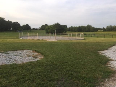 Equestrian Farm Arena For Sale Southwest Missouri Billings - image 16
