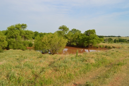 205 Acres with Fishing Lake-Auction 6.24.2018 - image 15