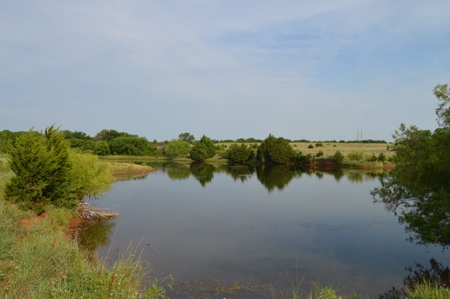 205 Acres with Fishing Lake-Auction 6.24.2018 - image 17
