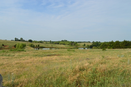 205 Acres with Fishing Lake-Auction 6.24.2018 - image 21
