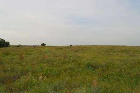 205 Acres with Fishing Lake-Auction 6.24.2018 - image 4
