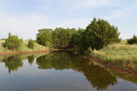 205 Acres with Fishing Lake-Auction 6.24.2018 - image 26