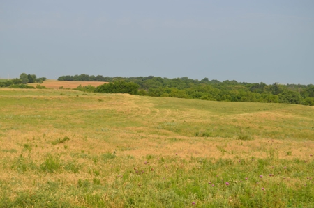 205 Acres with Fishing Lake-Auction 6.24.2018 - image 11