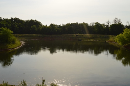 205 Acres with Fishing Lake-Auction 6.24.2018 - image 20