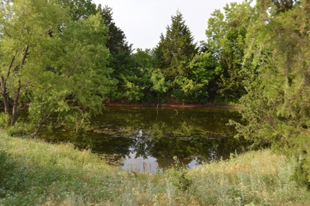 205 Acres with Fishing Lake-Auction 6.24.2018 - image 29