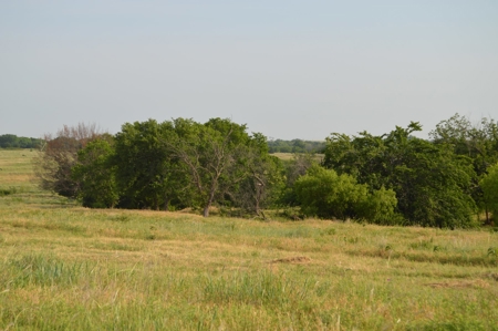 205 Acres with Fishing Lake-Auction 6.24.2018 - image 12