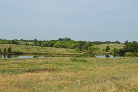 205 Acres with Fishing Lake-Auction 6.24.2018 - image 22