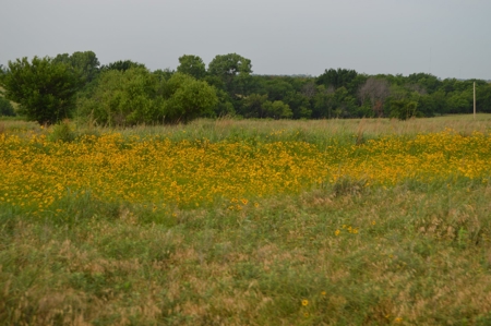 205 Acres with Fishing Lake-Auction 6.24.2018 - image 7
