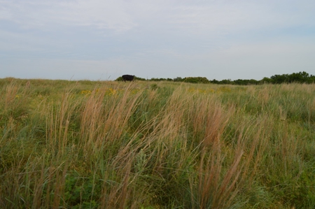 205 Acres with Fishing Lake-Auction 6.24.2018 - image 6