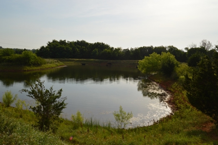 205 Acres with Fishing Lake-Auction 6.24.2018 - image 16