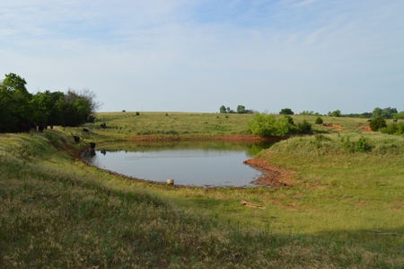 205 Acres with Fishing Lake-Auction 6.24.2018 - image 24