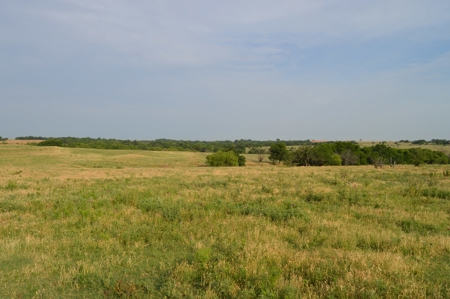 205 Acres with Fishing Lake-Auction 6.24.2018 - image 10