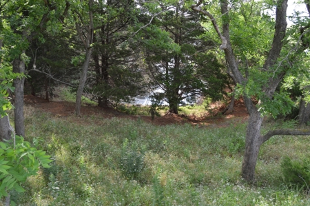 205 Acres with Fishing Lake-Auction 6.24.2018 - image 28
