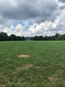 AUCTION. Hwy 127 South, Albany, KY - image 6