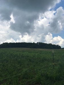 AUCTION. Hwy 127 South, Albany, KY - image 7