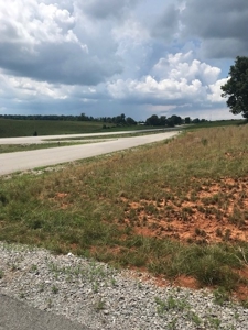 AUCTION. Hwy 127 South, Albany, KY - image 8
