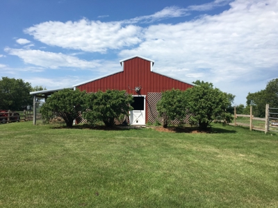 Hawley Mn Clay Co Ranchette/Horse Property For Sale - image 4
