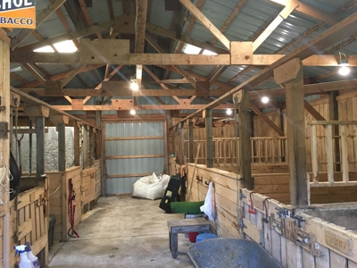 Hawley Mn Clay Co Ranchette/Horse Property For Sale - image 7