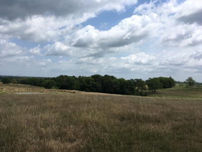 Farm Auction Tract 1 - image 5