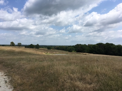 Farm Auction Tract 1 - image 6